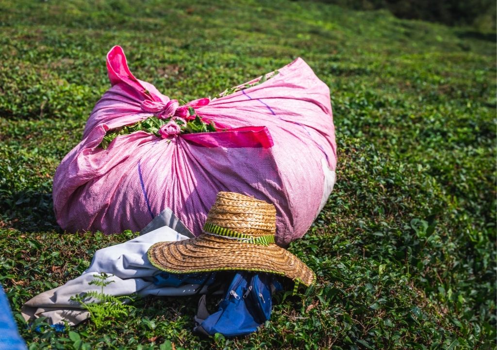 Her Şey Dahil Karadeniz Turları: Sadece Anı Biriktirin, Gerisini Bize Bırakın!