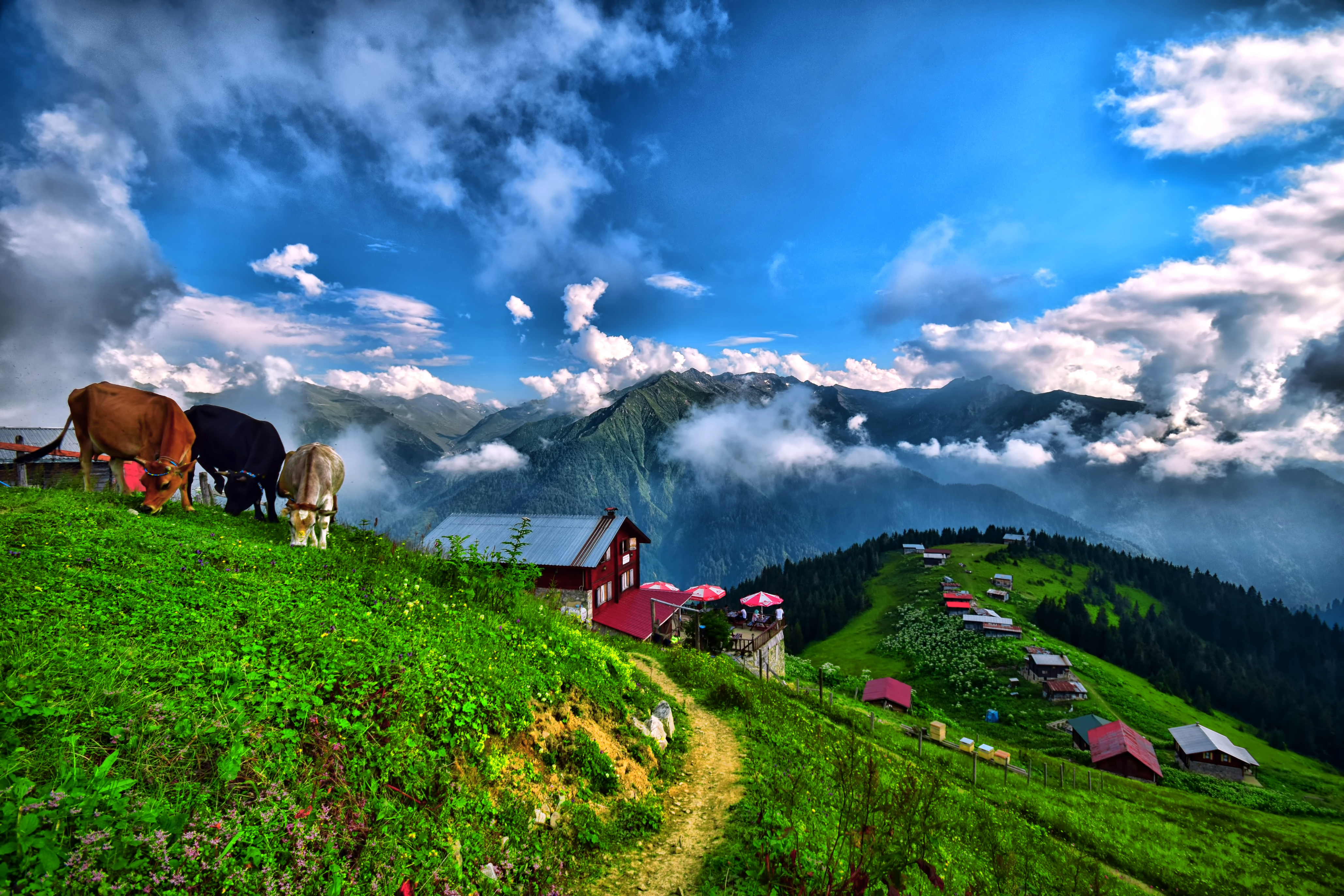 Karadeniz Turları: Yeşilin ve Mavinin Buluştuğu Cennet