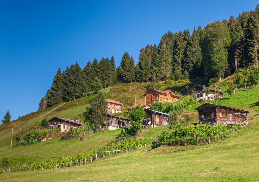 Karadeniz’i Böyle Görmediniz: Geziland’la Batumlu, Yaylalı, Kültür Dolu Turlar