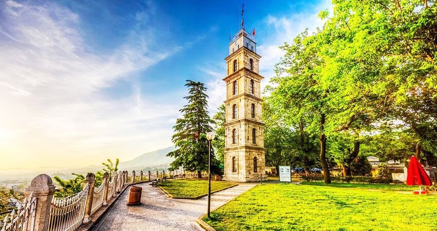İznik Zeytin Hasadı ve Bursa Turu