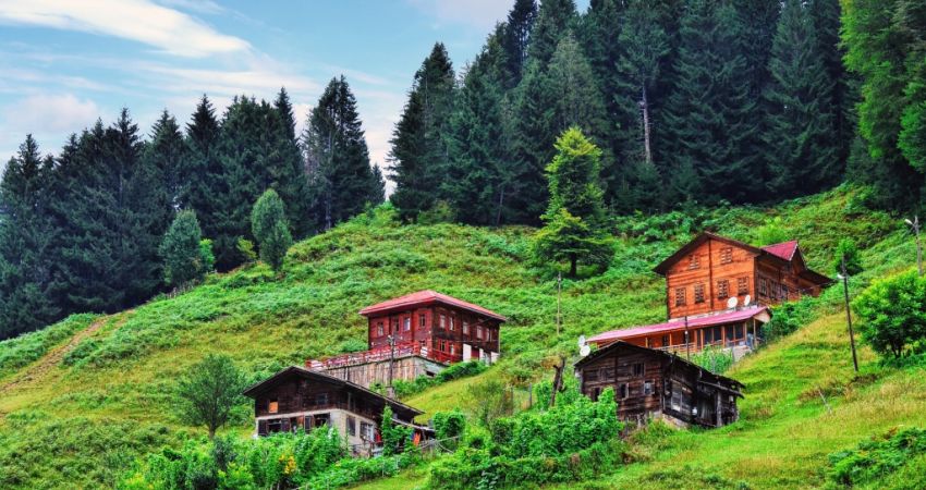 Baştan Sona Doğu Karadeniz Yaylalar ve Batum Turu ( 5 gece )