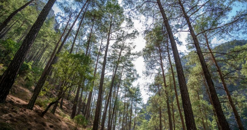 Eğirdir Gölü Kovada Gölü Yazılı Kanyon Turu