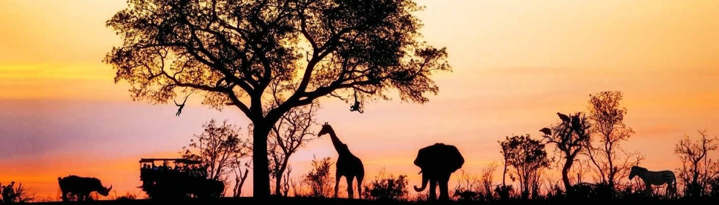 Elit Güney Afrika Turu