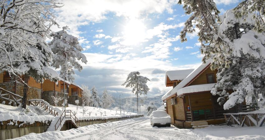 Karlar Altında Yenice Ormanları Turu