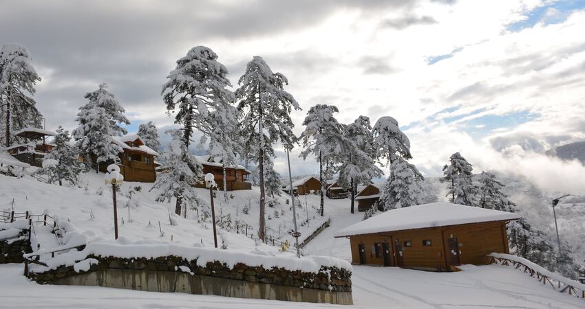 Karlar Altında Yenice Ormanları Turu