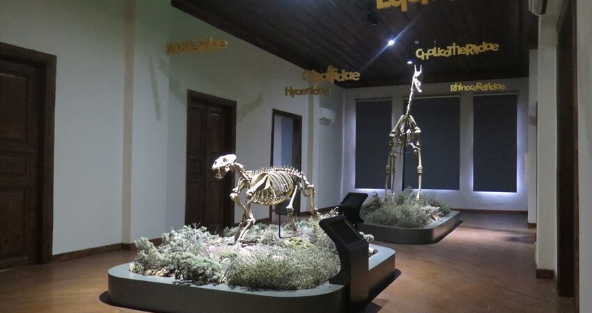 Günübirlik Çankırı ve Tuz Mağarası Turu