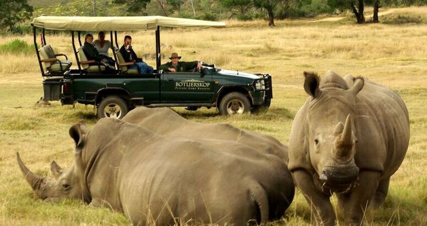 Elit Güney Afrika Turu