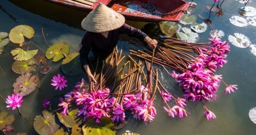 Elegant Vietnam Kamboçya Turu