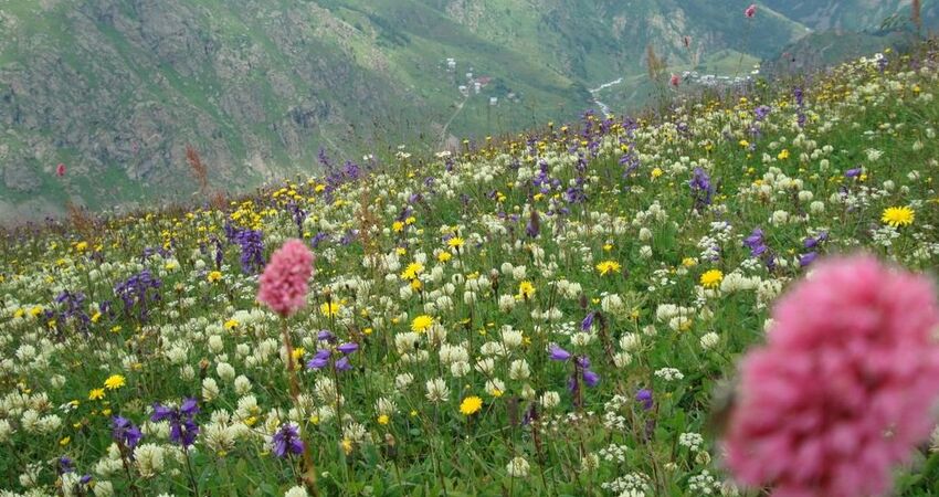 Çamlıhemşin Yaylaları Turu 