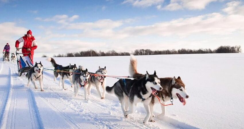 Ankara Çıkışlı Lapland Turu
