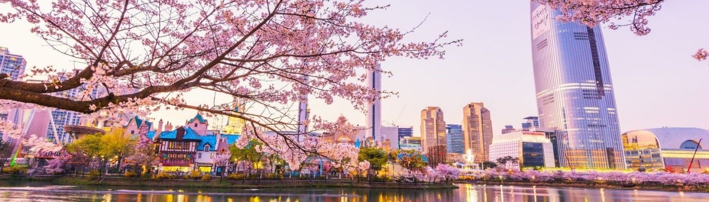 Elit Japonya Kore Turu THY ile 7 Gece Ekstra Turlar Dahil 31 Temmuz Çıkışlı