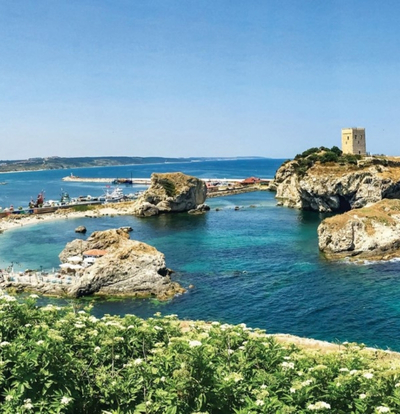 1 Mayıs Şile Ağva Polonezköy Sapanca Turu