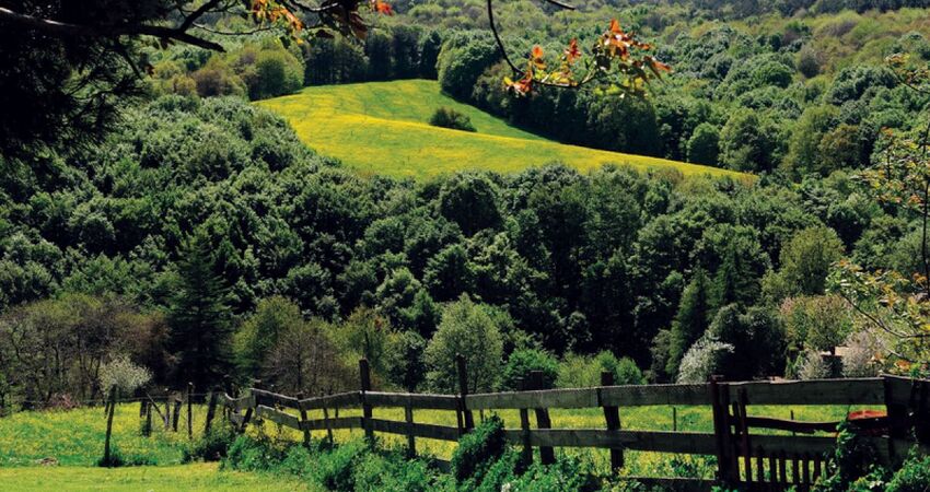 Ramazan Bayramı Şile Ağva Polonezköy Sapanca Turu