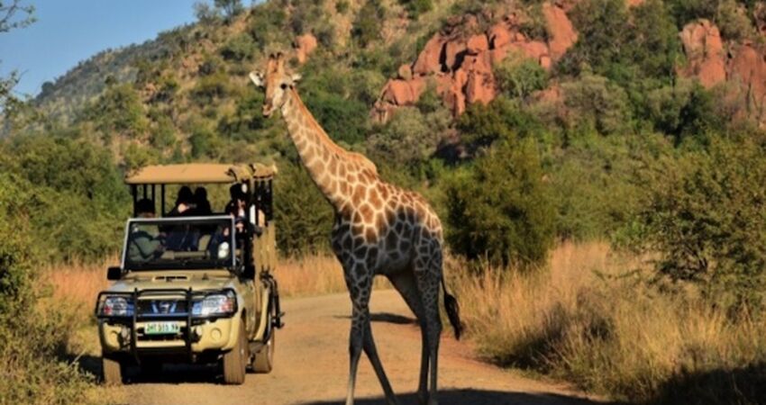 Elit Güney Afrika Turu